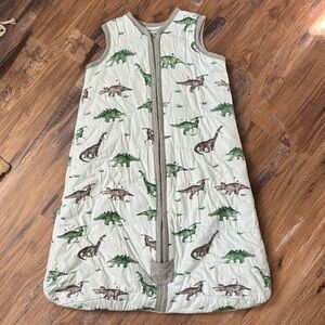 Burt's Bees Dinosaur Print Sleep Sack - Green and Gray